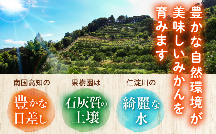 【先行予約】＜サイズおまかせ＞高知県産温州みかんA級品 約5kg ＜2026年11月上旬～2026年12月下旬頃発送＞/ みかん 柑橘 オレンジ 高知県 温州 【株式会社にしごみ】 [ATEA009]