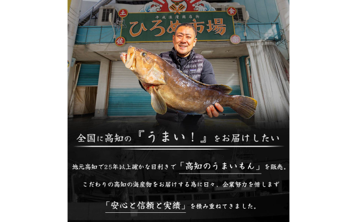 高知県産 うなぎ 長蒲焼2尾 約180g×2 2〜4人前/ 鰻 ウナギ 土用丑の日 高知産 うなぎ 【土佐黒潮水産】 [ATCQ009]