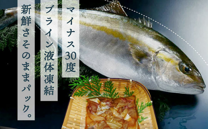 高知の海鮮丼の素「かんぱちの漬け」約80g×5パック 【興洋フリーズ株式会社】 [ATBX029]