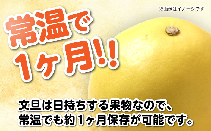 【訳あり】高知県産 土佐文旦 ご家庭用 約10kg（20玉前後）〈2025年3月上旬〜発送〉/味や品質には問題なし！皮に擦れや傷あり 訳アリ 高知 土佐 文旦 柑橘 家族 【SHOP KEYYA】 [ATAO010]