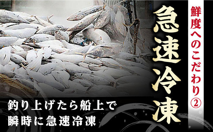 土佐料理司本店 鰹たたき2節セット（4〜5名分） / かつお 鰹 カツオ かつおのたたき 高知市【株式会社土佐料理司】 [ATAD009]