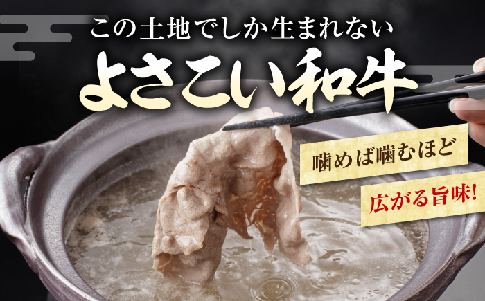 高知県産 よさこい和牛 上赤身 しゃぶしゃぶ用 約300g 牛肉 すきやき 国産 肉 A4 A5 薄切り スライス 【(有)山重食肉】 [ATAP127]