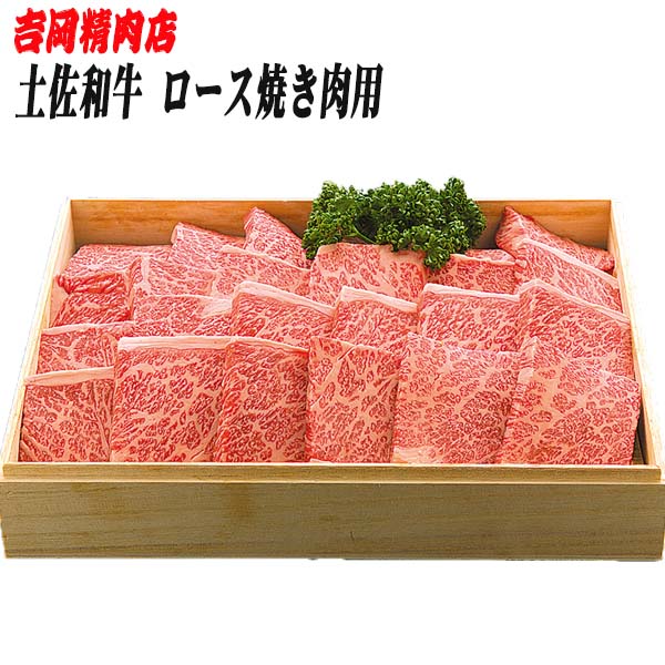 土佐和牛ロース (焼肉) 約500g 【グレイジア株式会社】 [ATAC022]