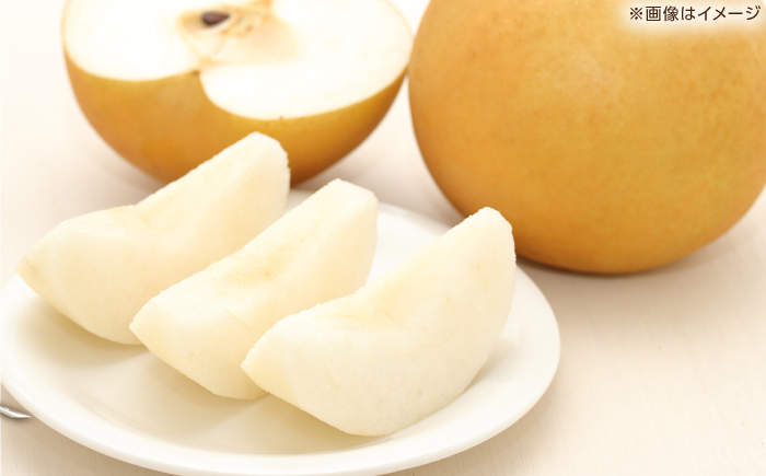 【先行予約】 王秋 約3kg（6～8玉） 〈2026年11月上旬～2026年12月10日〉 / 高知 王秋 梨 和梨 果物 フルーツ デザート 【川渕果樹園】 [ATHX007]