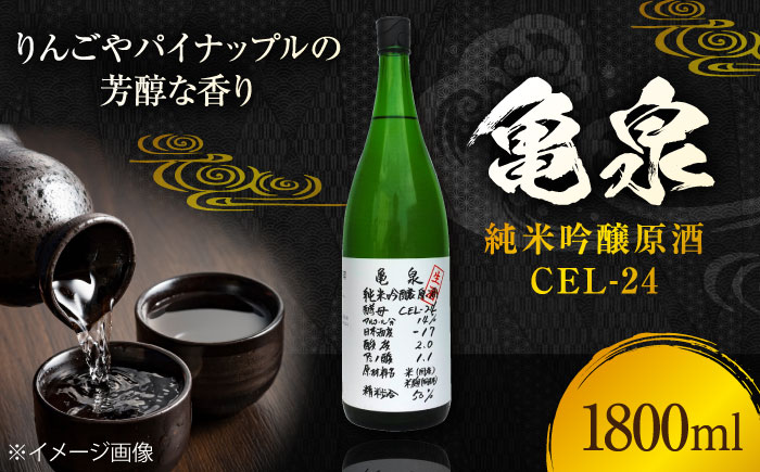 亀泉 純米吟醸原酒CEl-24 1800ml 1本 日本酒 地酒 【近藤酒店】 [ATAB151]