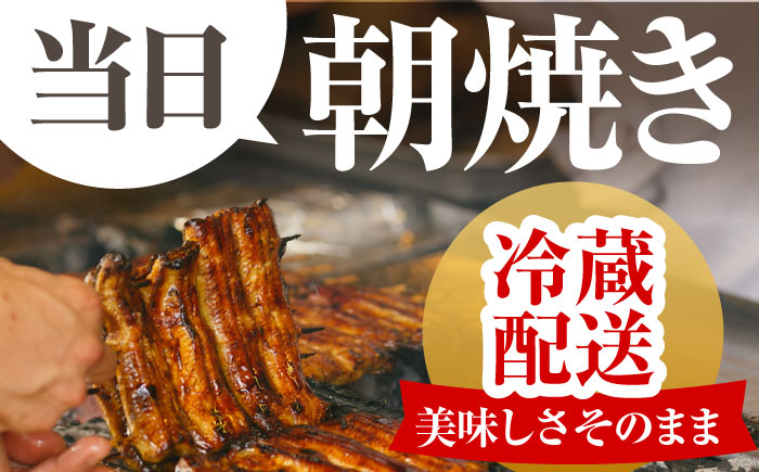 高知県産 朝焼きうなぎ蒲焼 4尾セット 【株式会社 四国健商】 [ATAF002]