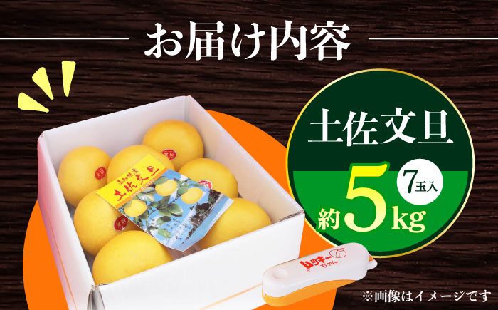 【先行予約】南国高知温室土佐文旦 約5kg 7玉 ぶんたん 果物 フルーツ 高知名物 【フルーツショップオザキ】 [ATAH016]