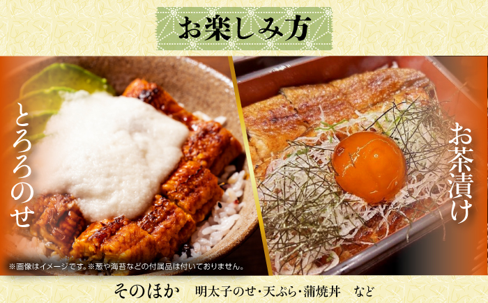 高知焼き鰻蒲焼3尾 / 蒲焼き かば焼き たれ タレ うなぎ ウナギ 鰻 小分け 個包装 パック 冷凍 冷凍食品 国産 おかず 簡単調理 調理済 時短 オーブントースター 魚焼きグリル 【鰻HASHIMOTO】 [ATDX006]