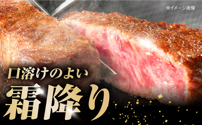 土佐あかうし 塊肉ステーキ 約500g（サーロイン）【株式会社Dorago】 [ATAM045]