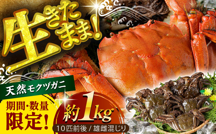 【期間・数量限定】浦戸湾育ちの天然ツガニ（モクヅガニ）【土佐の廣丸】[ATAL002]