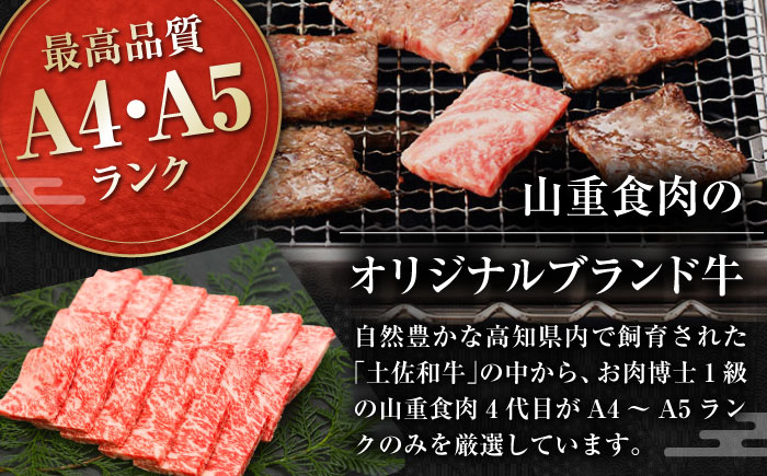 高知県産 よさこい和牛 焼肉用 約600g 牛肉 国産 焼き肉 BBQ A4 A5 【(有)山重食肉】 [ATAP063]