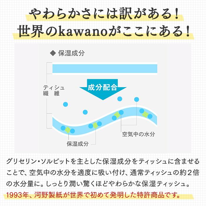 水に流せる３枚重ねティッシュ ソフトパック100組（300枚）×30パック