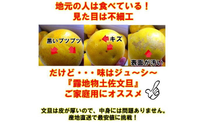 訳あり 土佐文旦 約2kg 追熟旨味UP 家庭用 サイズ S〜2L ブンタン ぶんたん 【グレイジア株式会社】 [ATAC476]