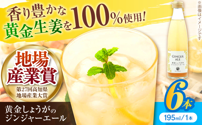 黄金しょうがのジンジャーエール6本/ 土佐生姜 スパークリング ジンジャーエール 爽やか【はるのTERRACE】 [ATAV001]