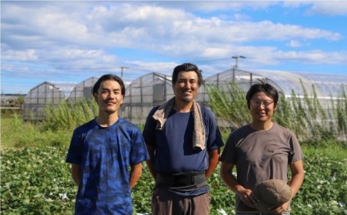 【全6回定期便】 土佐の太陽をいっぱいに浴びた旬の野菜と生姜約200gのセット「大」 (6回配送)【土佐野菜】 [ATBA015]