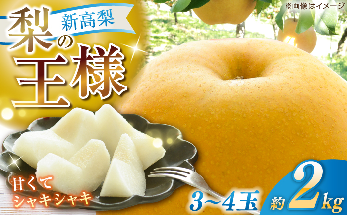 【先行予約】 新高梨 約2kg（3〜4玉） 〈2026年9月20日〜10月末発送〉 / 高知 針木 新高梨 梨 和梨 果物 フルーツ デザート 【川渕果樹園】 [ATHX001]