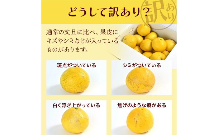 【先行予約】高知県産 訳あり 土佐文旦 約5kg 〈2027年1月下旬頃から発送〉 / 傷 シミの訳アリ  大容量 ぶんたん 文旦 訳あり わけあり 果物 【株式会社　四国健商】 [ATAF149]