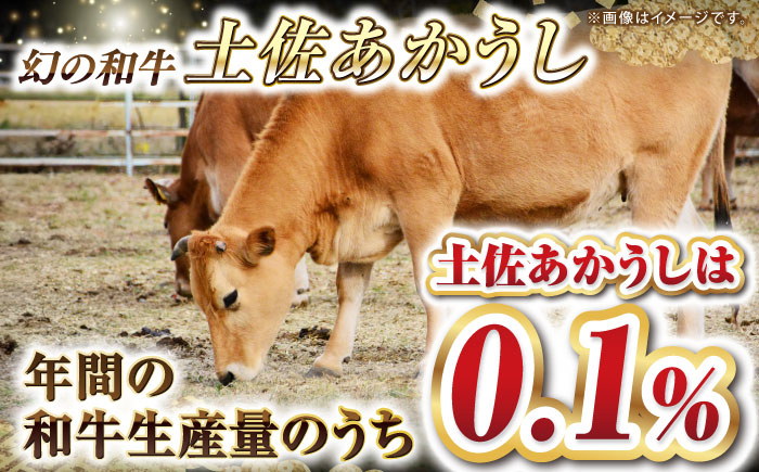 土佐あかうし ロース (焼肉用) 約500g 幻の和牛 【グレイジア株式会社】 [ATAC030]