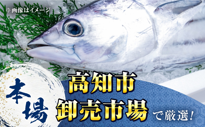 【3回定期便】満腹!かつおのたたき 約1.3kg~1.5kg 総計約3.9kg〜4.5kg 【株式会社 四国健商】 [ATAF092]