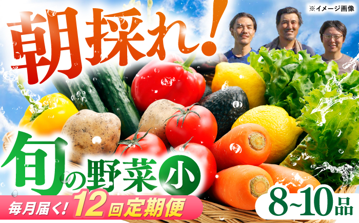【12回定期便】 土佐の太陽をいっぱいに浴びた旬の野菜セット小 【土佐野菜】 [ATBA007]