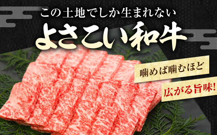 【3回定期便】簡単調理! お肉の詰め合わせ 総計約14.1kg 牛肉 鶏肉 豚肉 国産 小分け 食べ比べ 【(有)山重食肉】 [ATAP192]