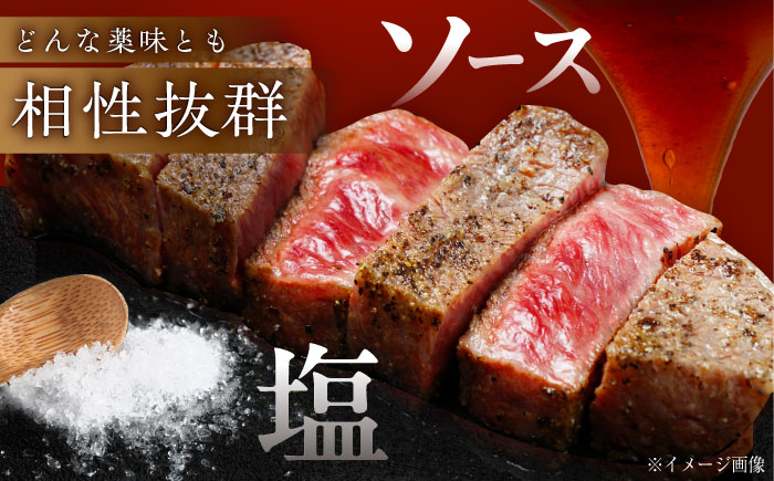 高知 黒毛和牛 ステーキ 約250g×2枚 / 高知 お肉 牛肉 牛 サーロイン 贈答 ギフト 贅沢 【焼肉寛十郎】 [ATDO011]