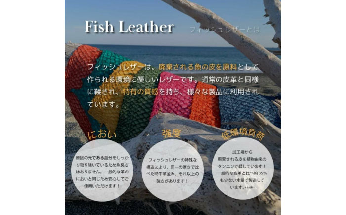 【Sea Green】Ocean Leather 名刺入れ【マダイ】M【興洋フリーズ株式会社】 [ATBX083-03]