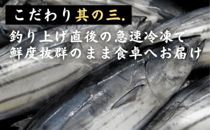 一本釣り龍馬鰹たたき　約2.3kg ポン酢付き /高知 本格 藁焼き カツオ 鰹 かつおたたき 瞬間冷凍 厳選【株式会社　七和】 [ATAX017]