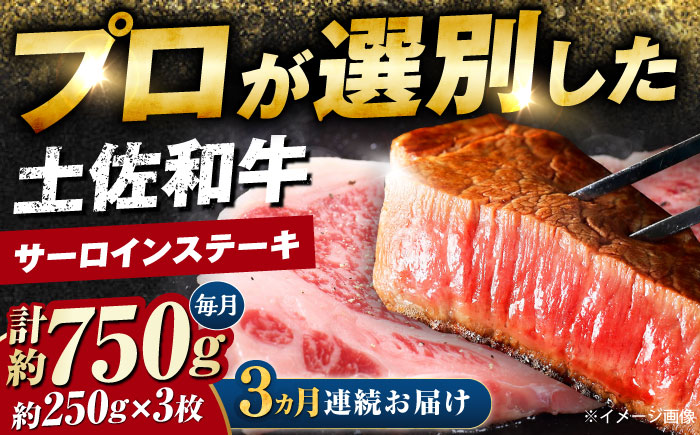 【3回定期便】土佐黒毛和牛 サーロインステーキ (約250g×3枚) 総計約2.25kg 【株式会社 四国健商】 [ATAF128]