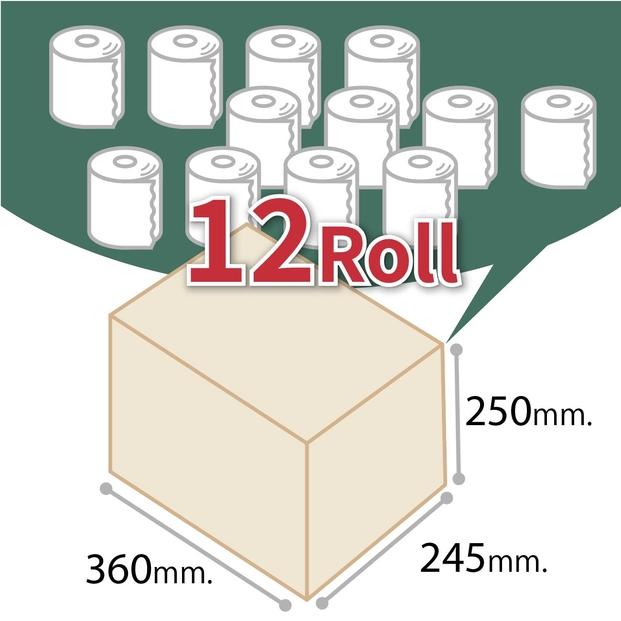 10年保証　備蓄用トイレットペーパー  200m 12ロール　LT-101　丸英製紙