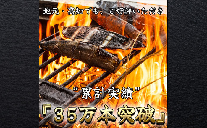 藁焼き 生カツオたたき三本セット (冷蔵) 約1.5kg 9人12人前【土佐黒潮水産】 [ATCQ005]