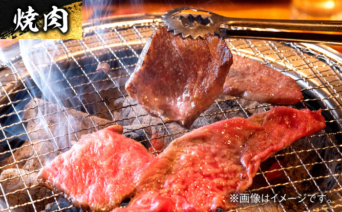 エイジング工法 熟成肉 土佐あかうし 特選赤身 ブロック 約500g 冷凍 【株式会社LATERAL】 [ATAY011]