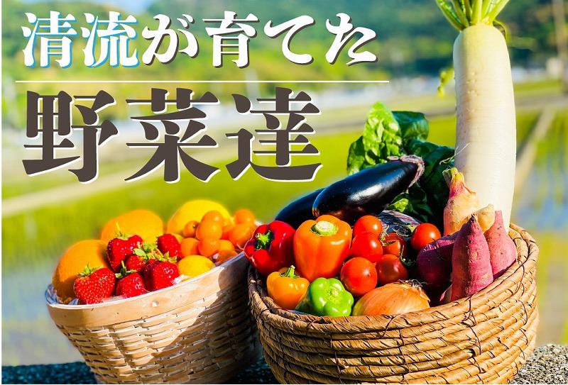 【偶数月に1度の定期便（合計6回)】高知の新鮮野菜セット/旬の野菜を味わう6ヵ月便