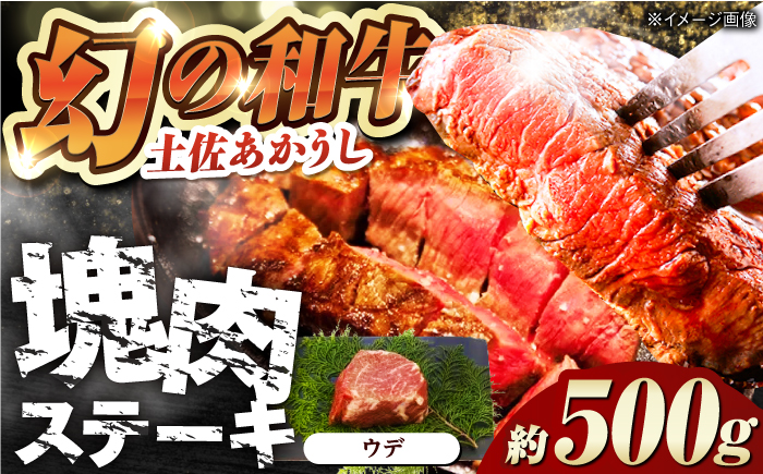 土佐あかうし 塊肉ステーキ 約500g（うで）【株式会社Dorago】 [ATAM047]