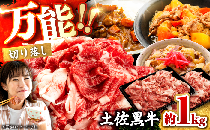 土佐黒牛 切り落し 約1kg（約500g×2） / 贈答用 黒牛 土佐 和牛 牛 肉 お肉 ウデ モモ バラ 食品 冷凍 高知 【高知県食肉センター株式会社】 [ATFC040]