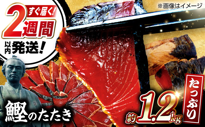 鰹たたき　約1.2kg ポン酢付き /高知 本格 カツオ 鰹 かつおたたき 瞬間冷凍 厳選 【株式会社　七和】 [ATAX016]