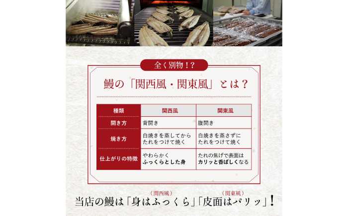 完全無投薬 仁淀川の伏流水で育てた贅沢うなぎ蒲焼き 中 (約150g×3尾 ) ギフトセット 池澤鮮魚 【池澤鮮魚オンラインショップ】 [ATBE018]