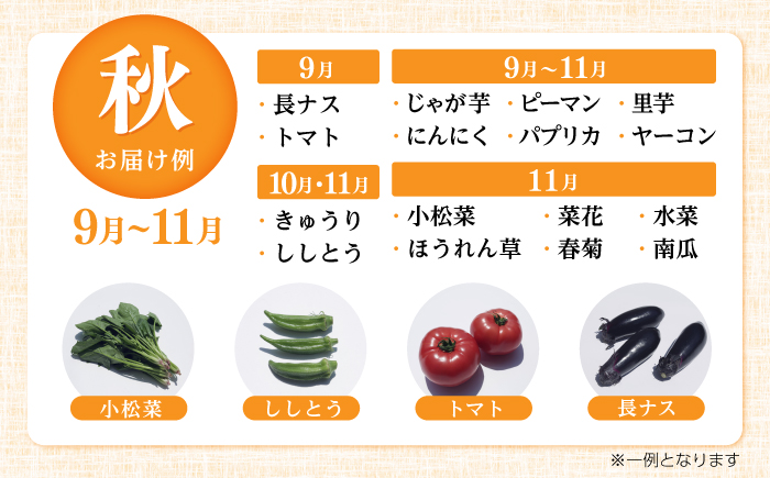 【6回定期便】 土佐の太陽をいっぱいに浴びた旬の野菜生姜約100gのセット「小」 【土佐野菜】 [ATBA012]