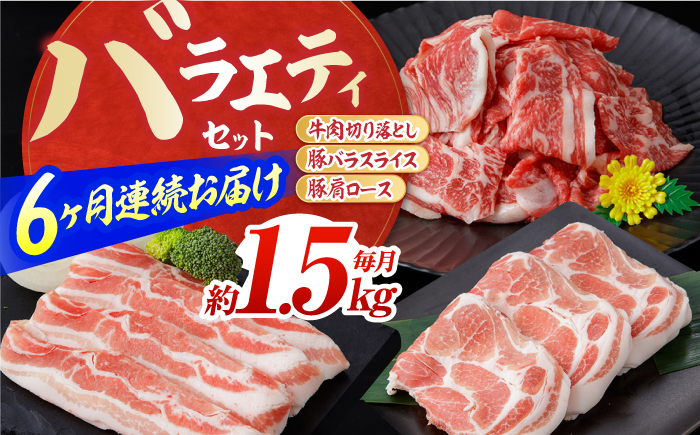 【6回定期便】お肉の定期便 バラエティセット (6ヵ月) 総計約9kg 国産 牛肉 切り落とし 豚肉 バラ スライス 【(有)山重食肉】 [ATAP116]