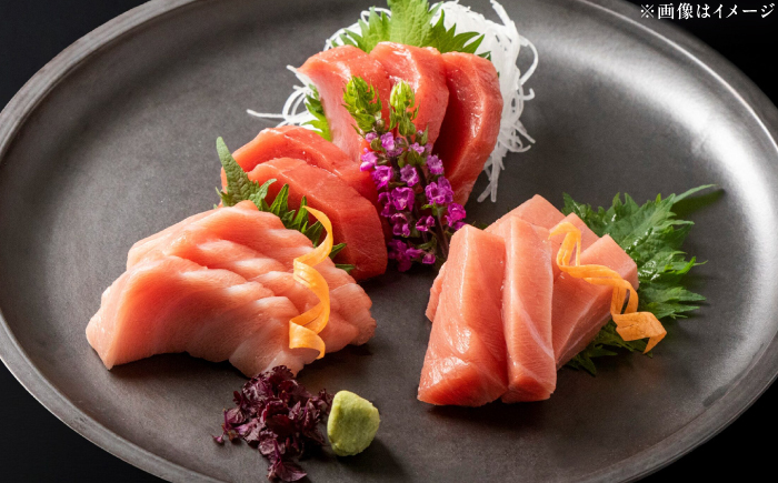 本まぐろ 大トロ 中トロ 赤身 合計約500g 　【株式会社 七和】　/ まぐろ 鮪 赤身 あかみ トロ 中トロ 大トロ 刺身 さしみ まぐろトロ まぐろ赤身 高級 セット 本鮪 冷凍 海鮮 魚介 魚 柵 高知県 高知市 養殖 [ATAX030]