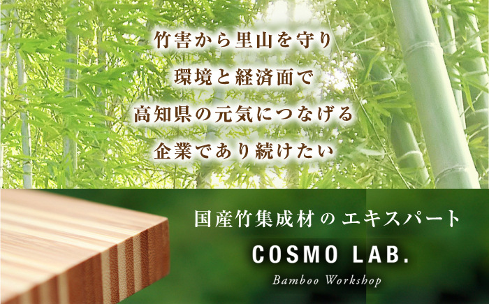 国産竹集成材製 プレート / プレート アウトドア ランチ スイーツ デザート カフェ 生活雑貨 国産 竹 長持ち 耐久 希少 【株式会社コスモ工房】 [ATGC002]