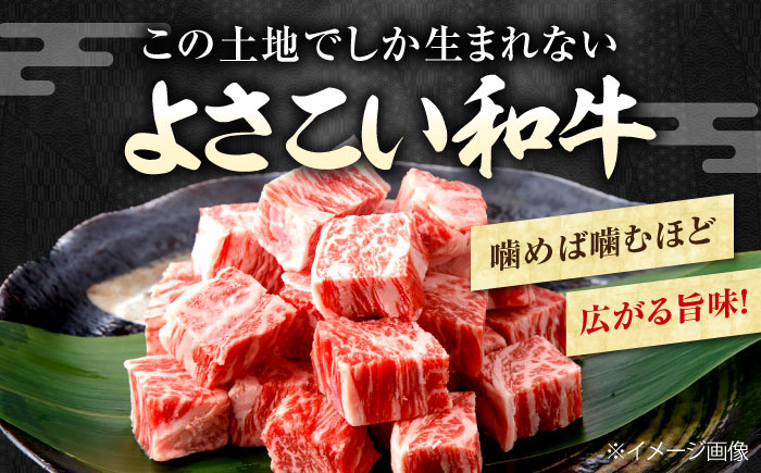 高知県産 よさこい和牛 角切り 約200g×2 総計約400g 牛肉 国産 小分け サイコロステーキ 焼肉 カレー 煮込み 【(有)山重食肉】 [ATAP013]