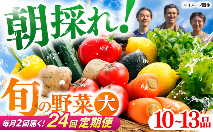 【24回定期便・月2回配送】 土佐の太陽をいっぱいに浴びた旬の野菜セット「大」10〜13品目 / 高知 土佐 旬 野菜 詰め合わせ セット 仕送り 【土佐野菜】 [ATBA018]