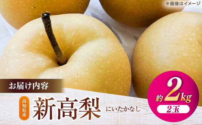 【先行予約】 新高梨 秀 約2kg（2玉） 〈2026年9月20日～2026年10月末発送〉 【川渕果樹園】 [ATHX005]