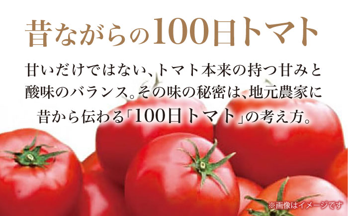 【先行予約】リサフルーツトマト 約2kg トマト とまと 野菜〈2025年1月より発送開始〉  【株式会社 堀】 [ATDA003]