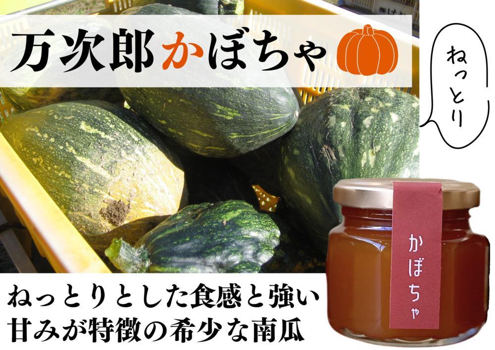 【素材を味わう餡】いもくりかぼ茶　そのまんま　餡（芋、栗、かぼちゃ、茶） 各約80g＋最中2枚×12