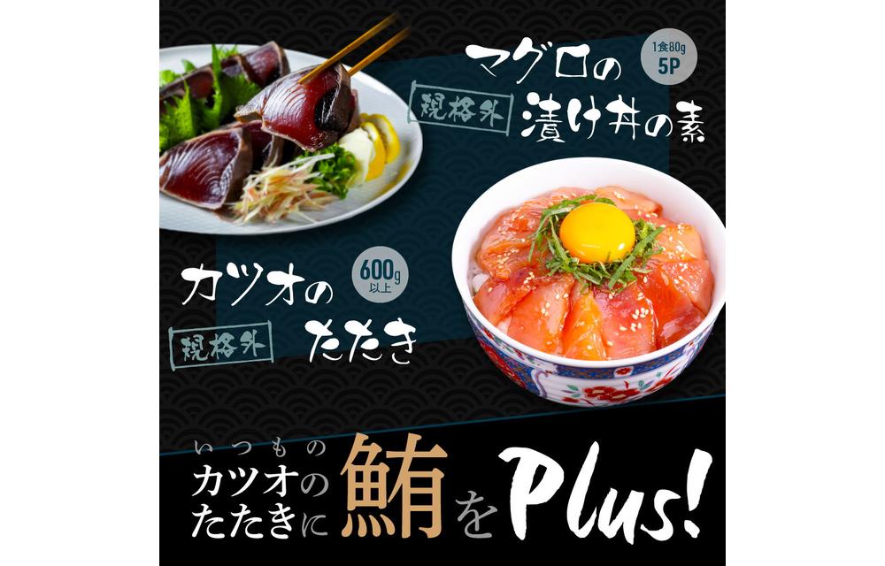 規格外カツオたたき 約600g＋マグロ漬け丼の素 約80g×5パック