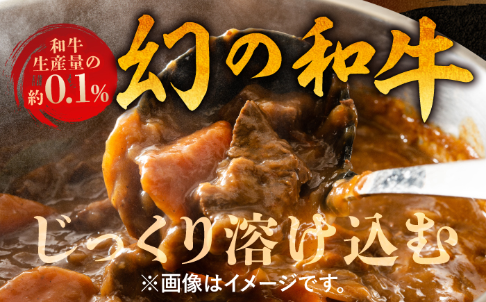 【3回定期便】高知土佐あかうしビーフカレー 10食セット/ レトルト カレー あか牛 土佐あかうし 牛肉 牛カレー 保存食 常備 人気 おすすめ 高知市 【株式会社 四国健商】 [ATAF137]