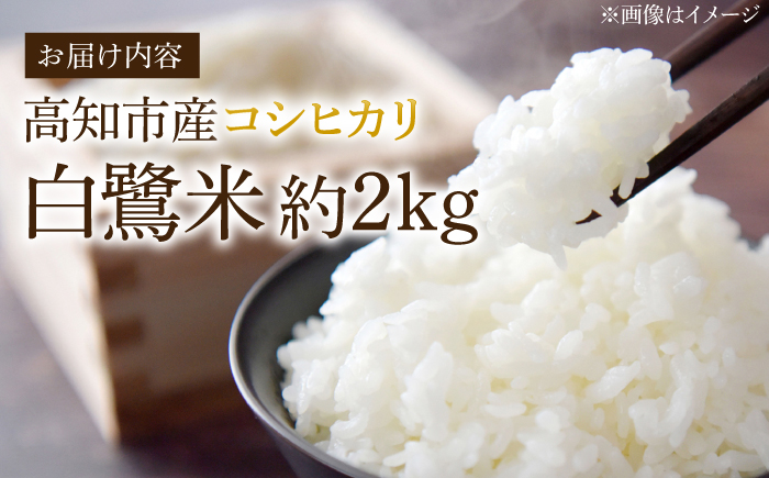 農薬節減！ R7年度産 特別栽培米 白鷺米 コシヒカリ 約2kg ＜2025年9月中旬〜発送＞ / 高知 米 お米 精米 　【津ノ宮農園】[ATBV018]