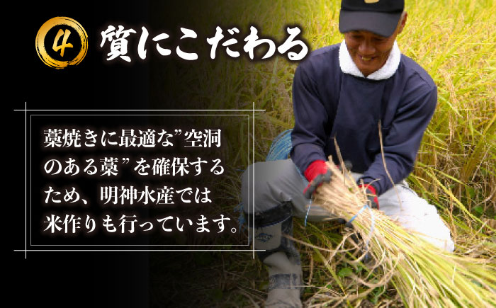 明神水産 藁焼き鰹 (カツオ) たたき 中2節 (約500g) セット 【株式会社 四国健商】 [ATAF047]